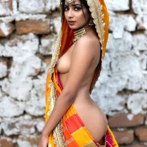 Exquisite Beauty in Traditional Indian Saree